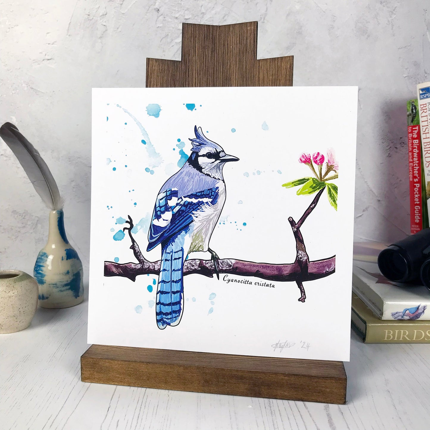 Bluejay Print