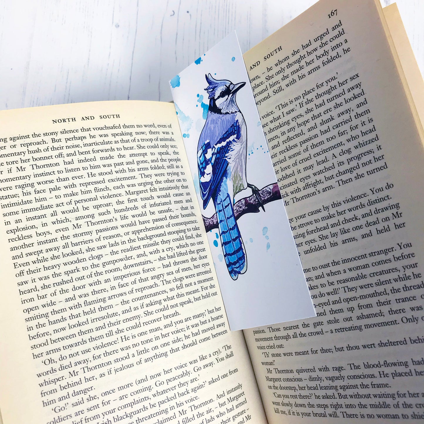 Bluejay and Little Bee Eater Bookmark