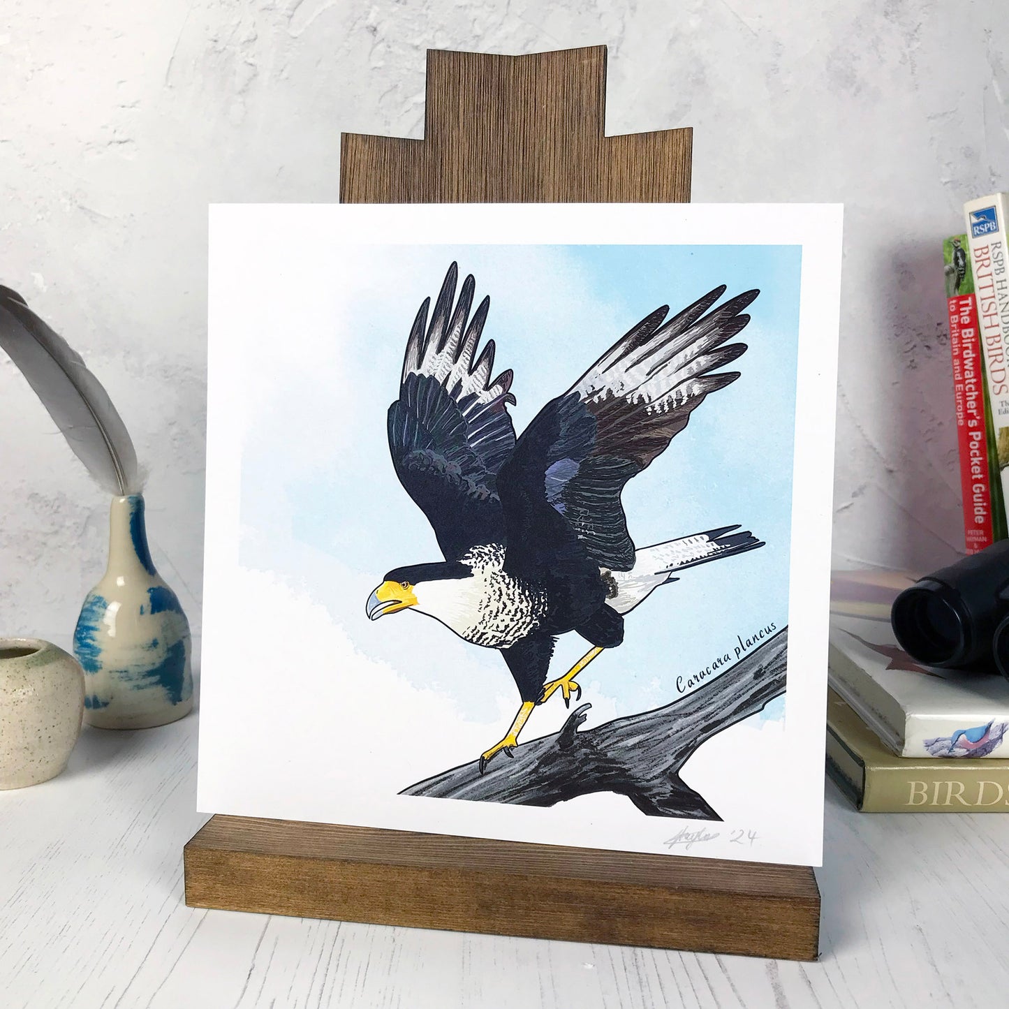 Crested Caracara Print