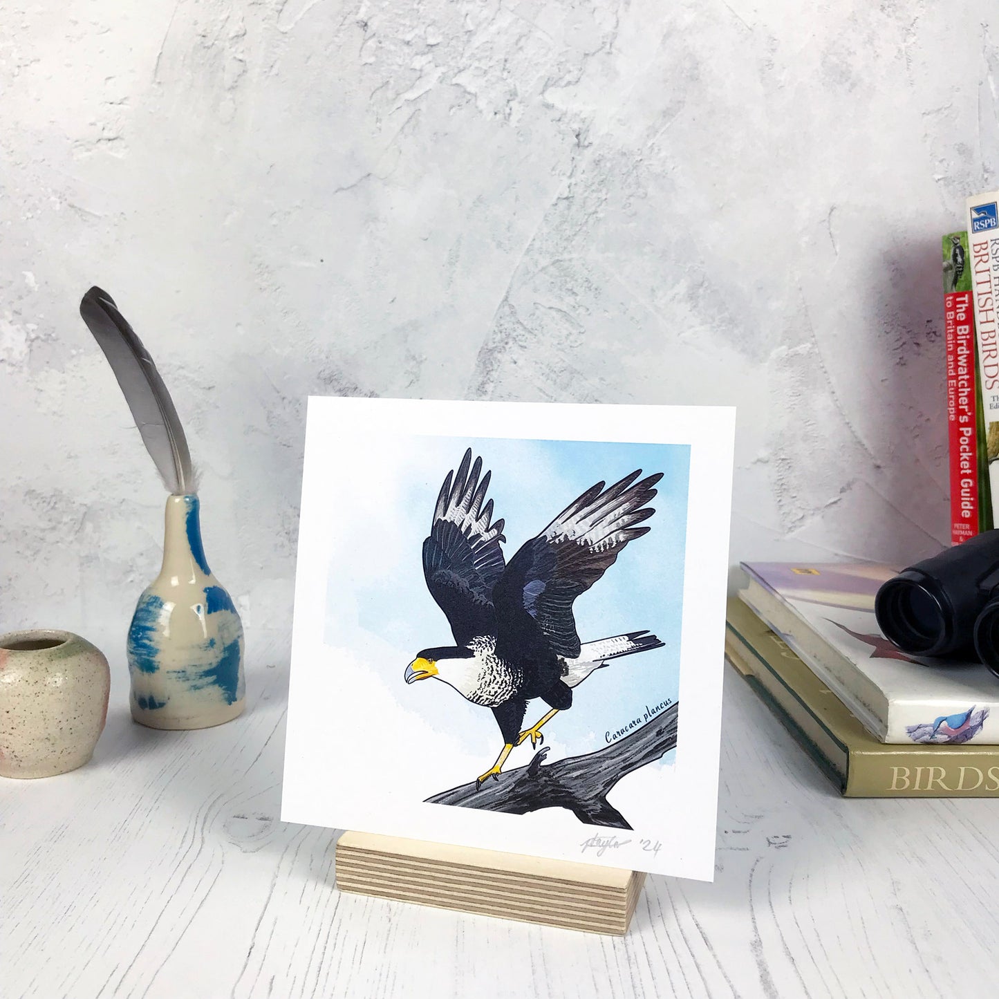 Crested Caracara Print