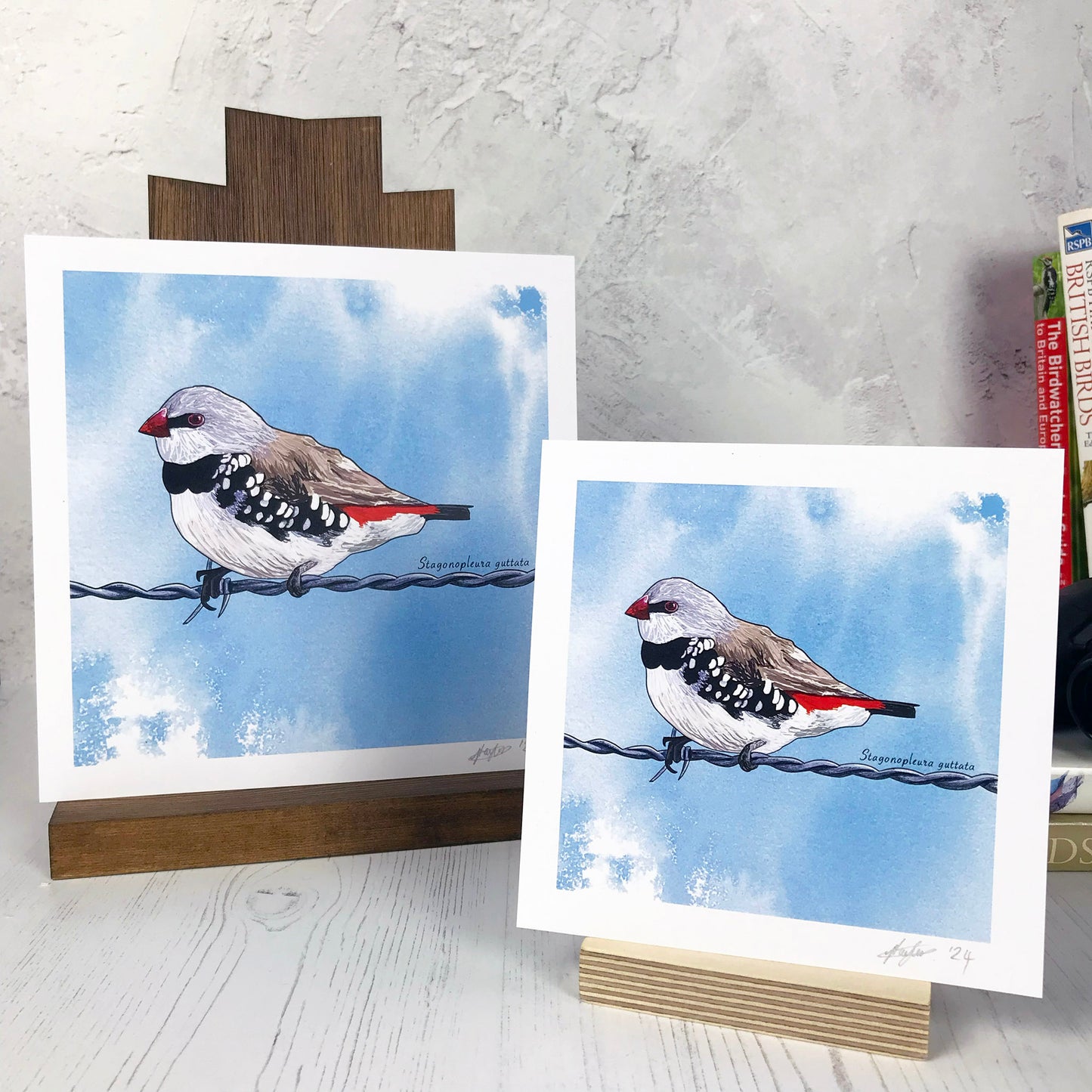 Diamond Firetail Print