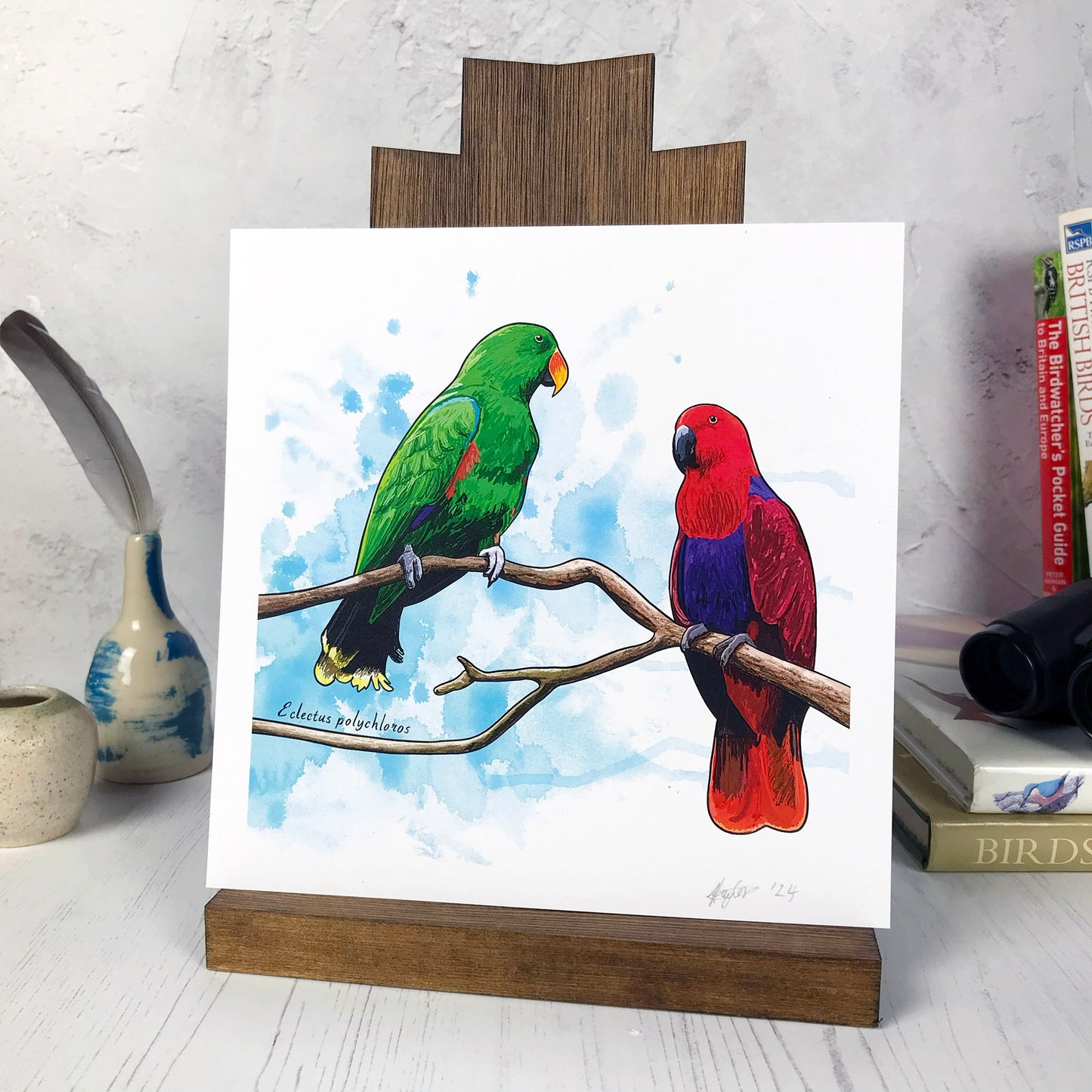 Eclectus Parrot Print