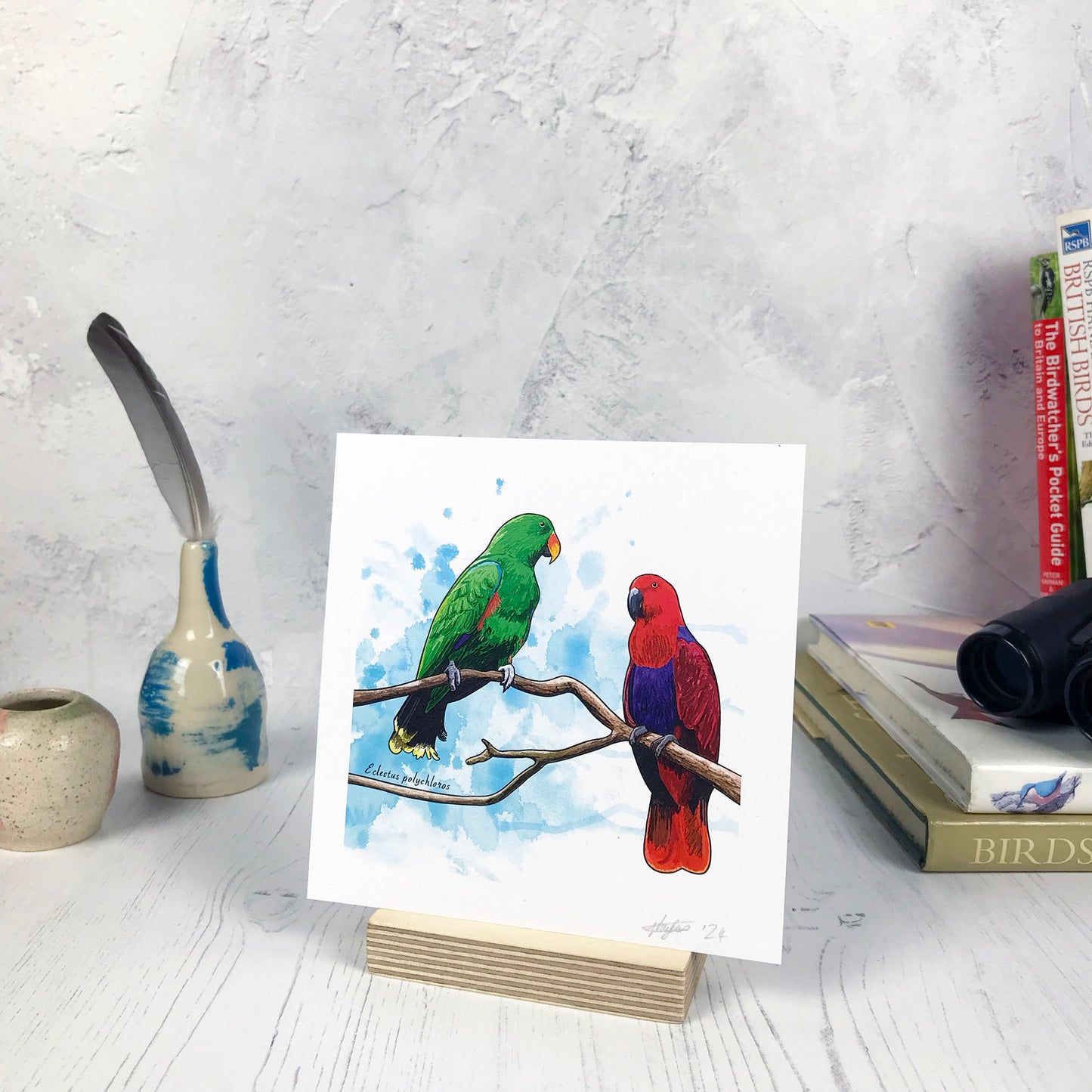 Eclectus Parrot Print