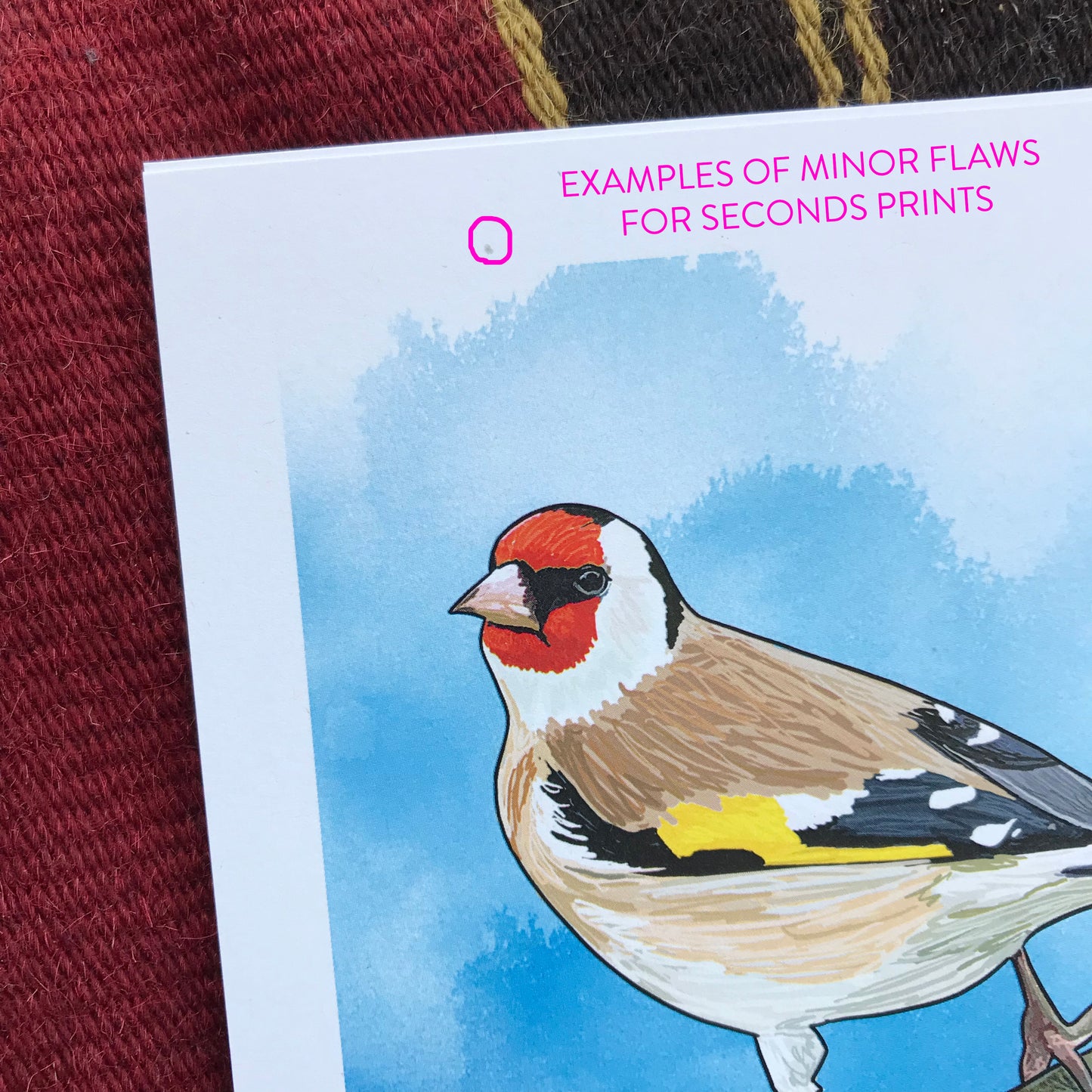 SECOND - White Crested Helmetshrike Print