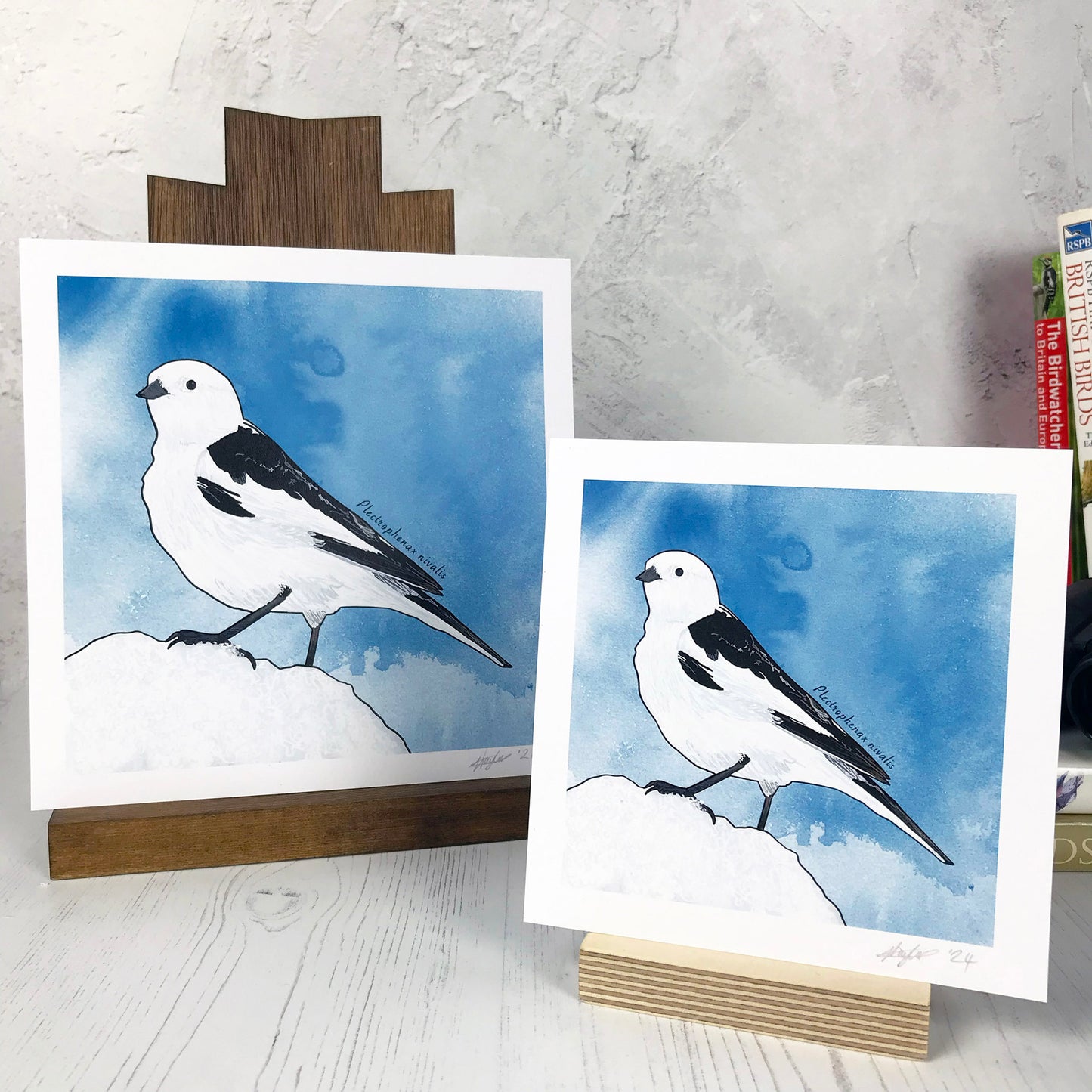 Snow Bunting Print