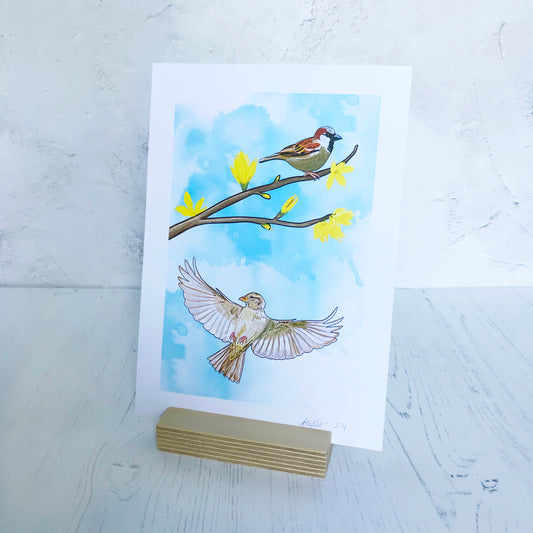 SECOND - Sparrow and Forsythia Print